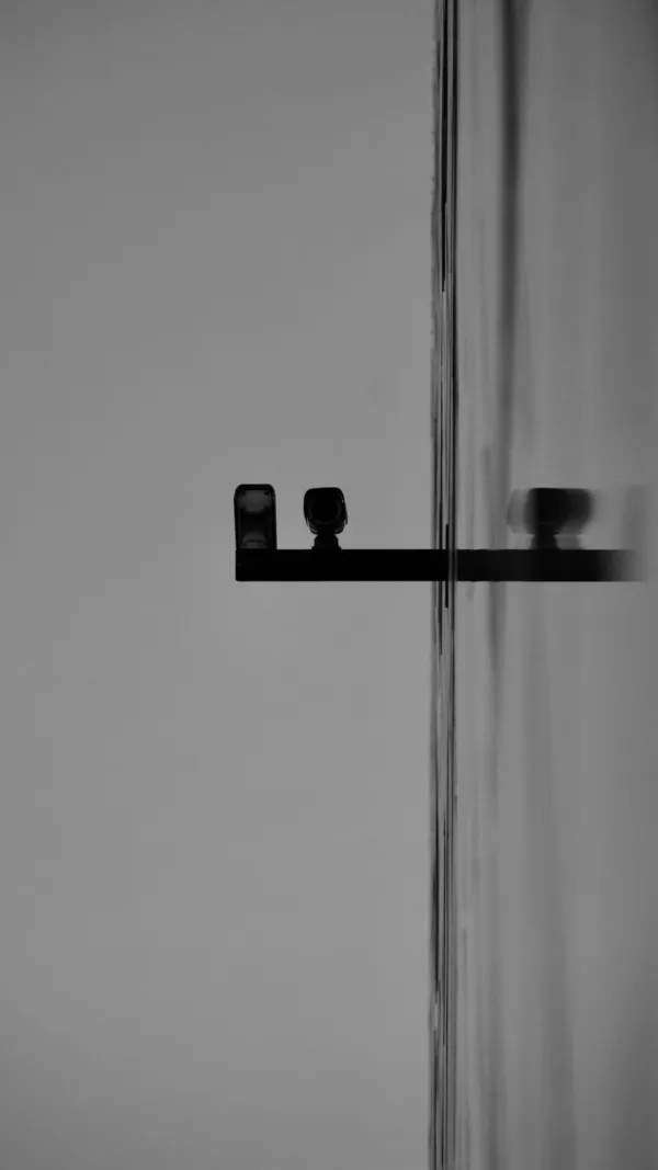 Wellness & Lifestyle